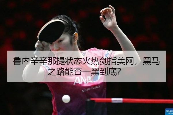 鲁内辛辛那提状态火热剑指美网，黑马之路能否一黑到底？ - kaiyun